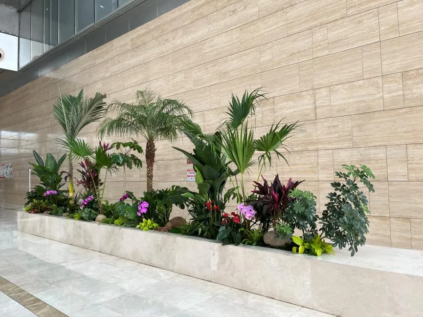 宁波江北盆景租摆，为空间增添别样生机与雅致