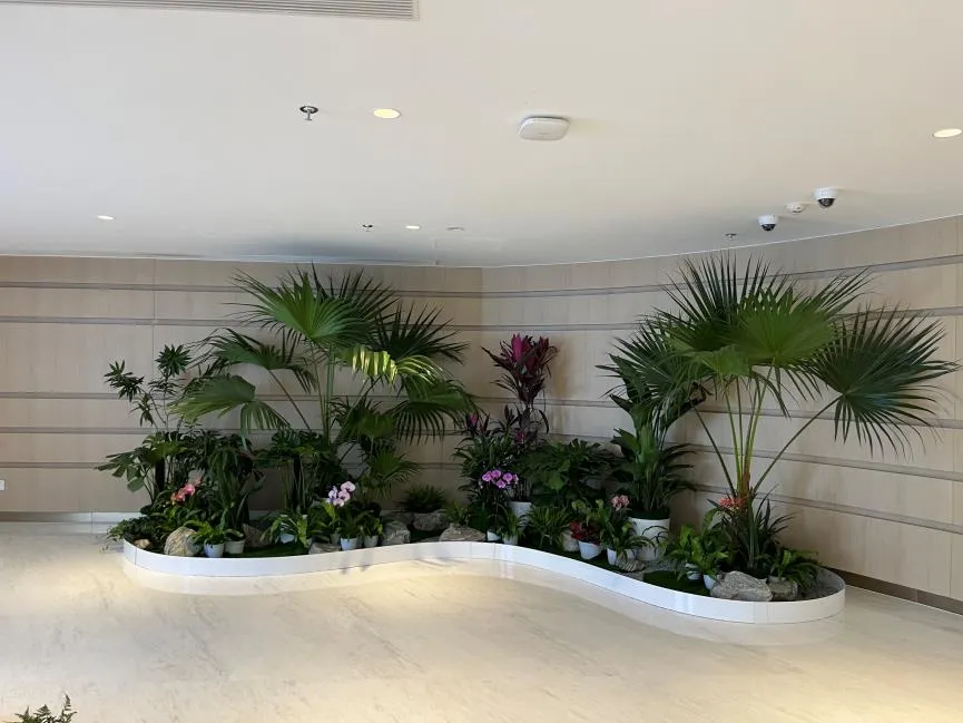 深度剖析宁波杭州湾绿化养护的关键所在!><div class=