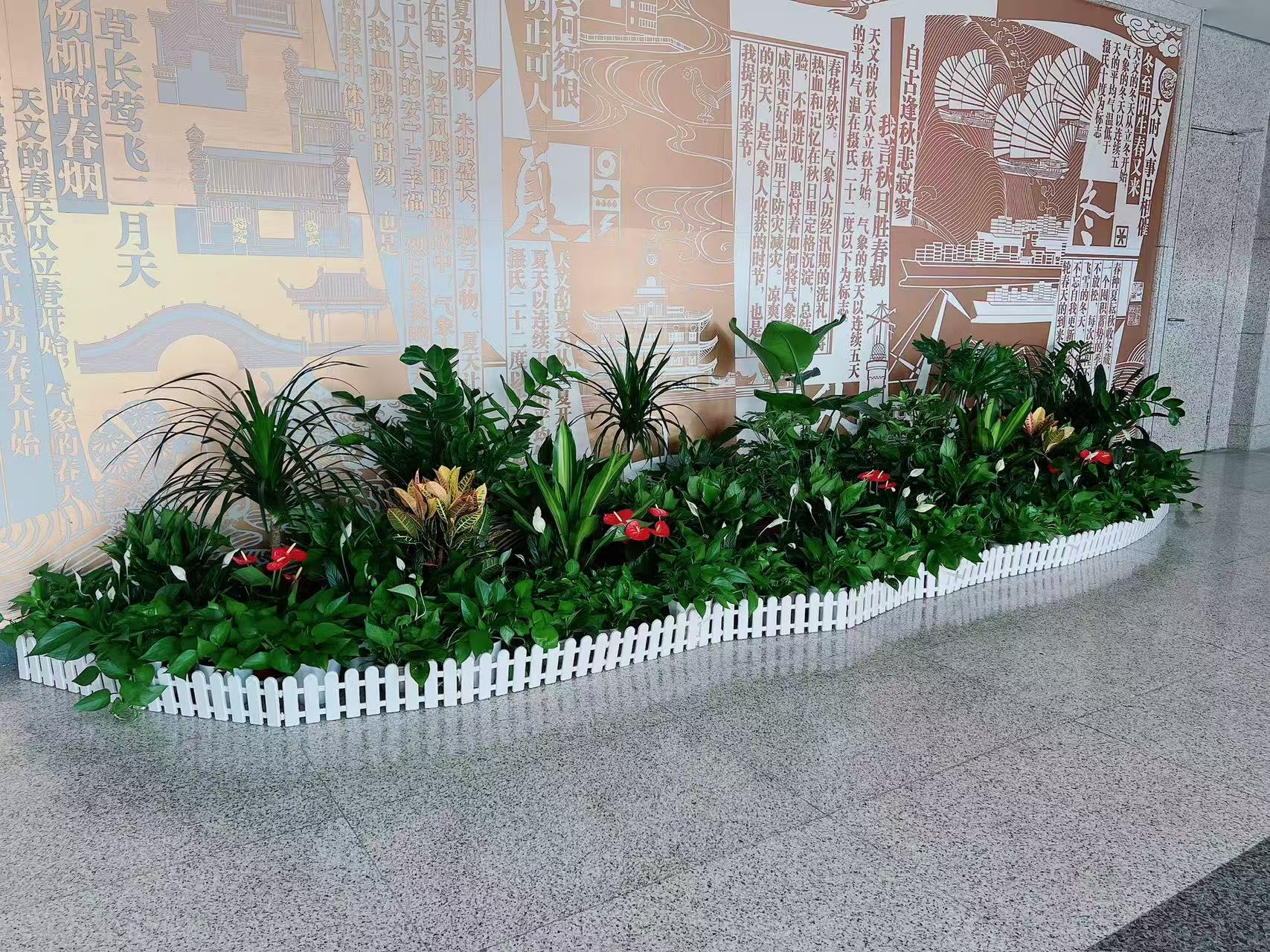 宁波镇海植物租赁方案